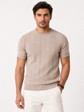 Men's Striped Short Sleeve Knit Shirt Casual Slim Fit Top